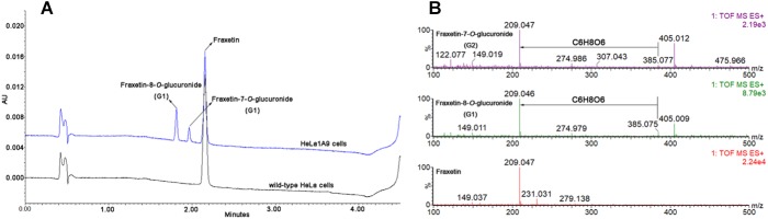 FIGURE 2