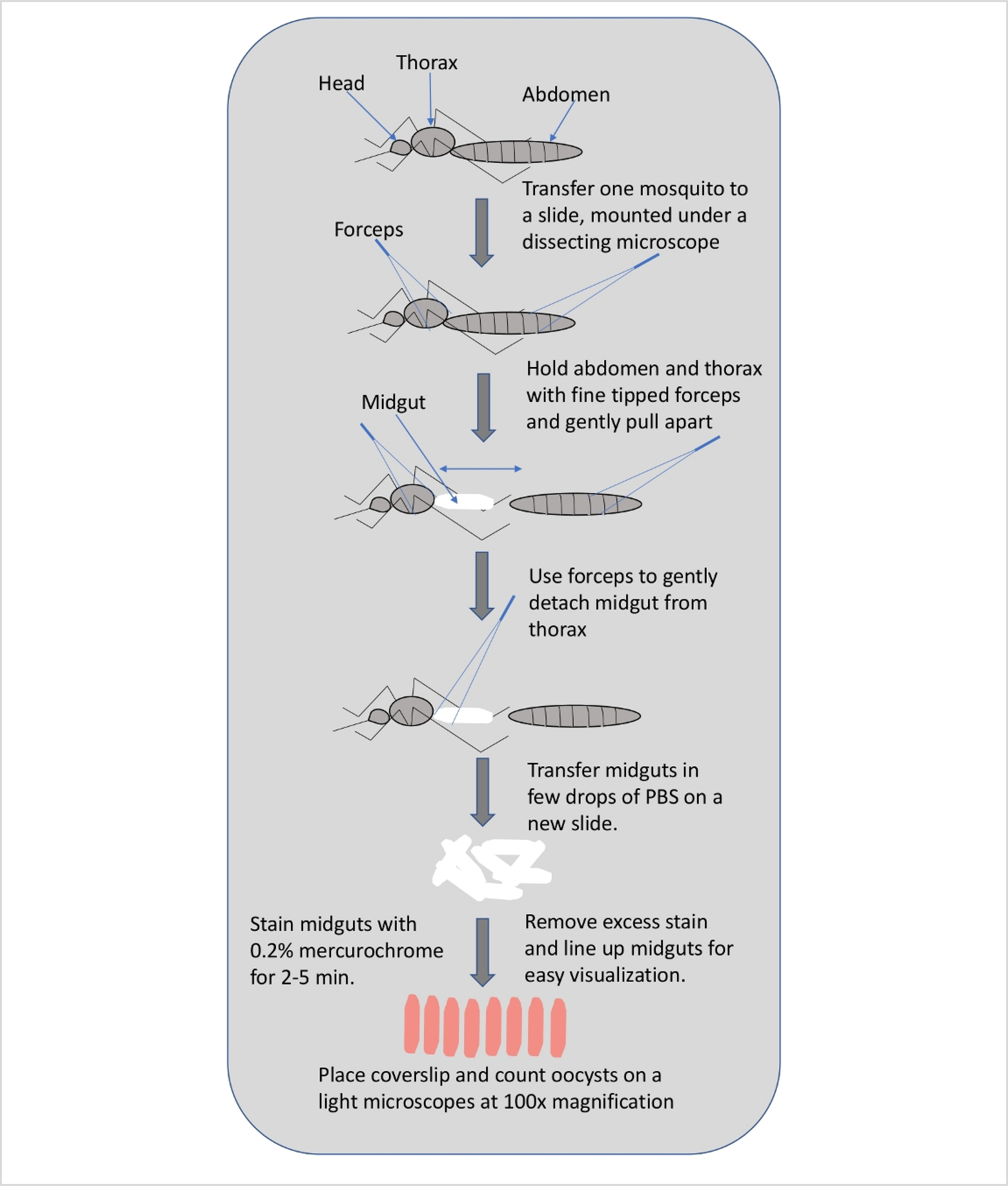 Figure 3: