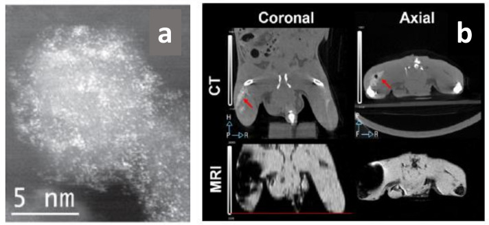 Figure 14