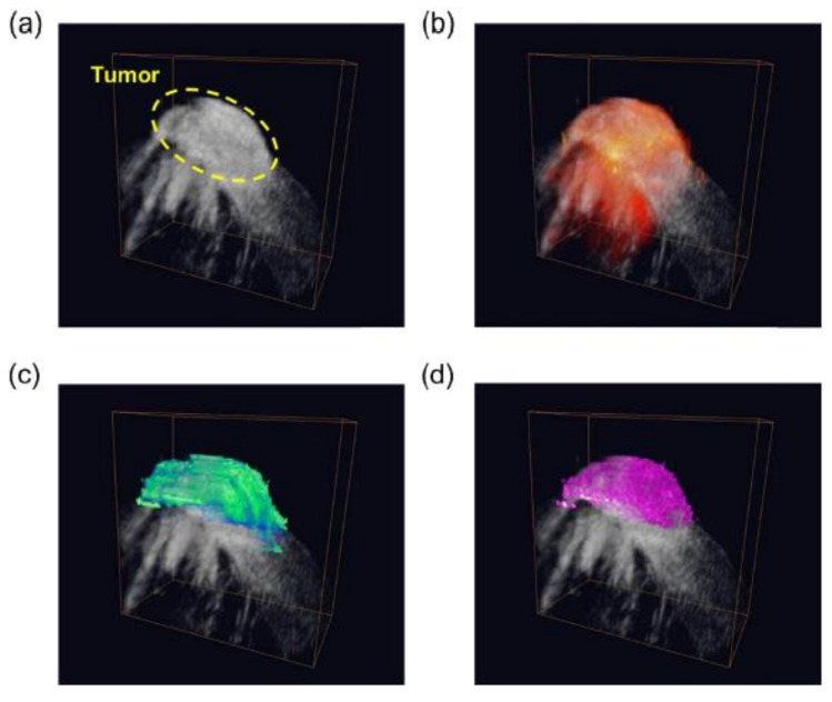 Figure 21