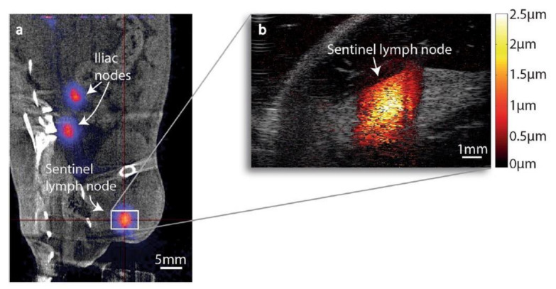 Figure 19