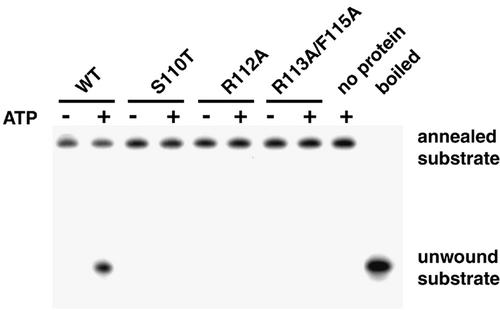 FIG. 8.