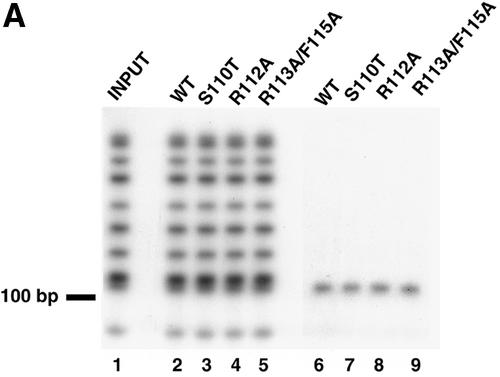 FIG. 9.