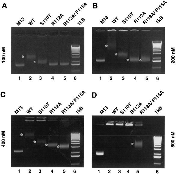 FIG. 10.