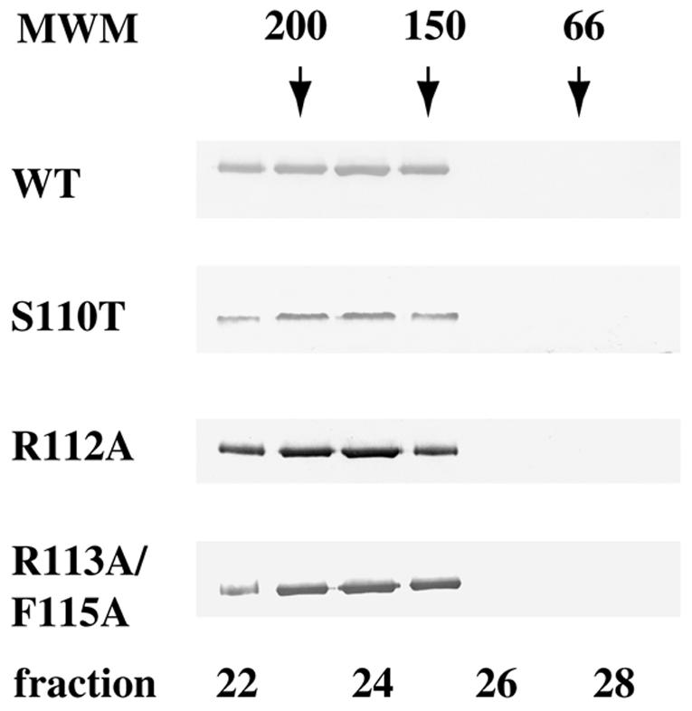 FIG. 6.