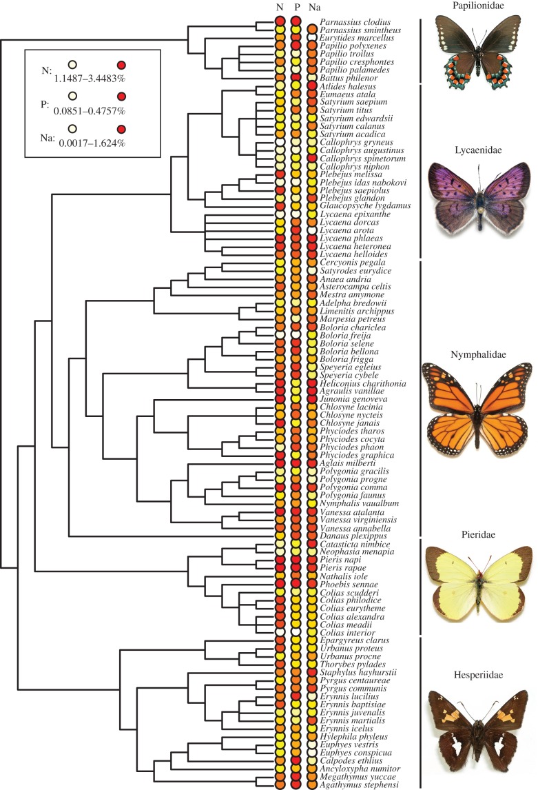 Figure 1.