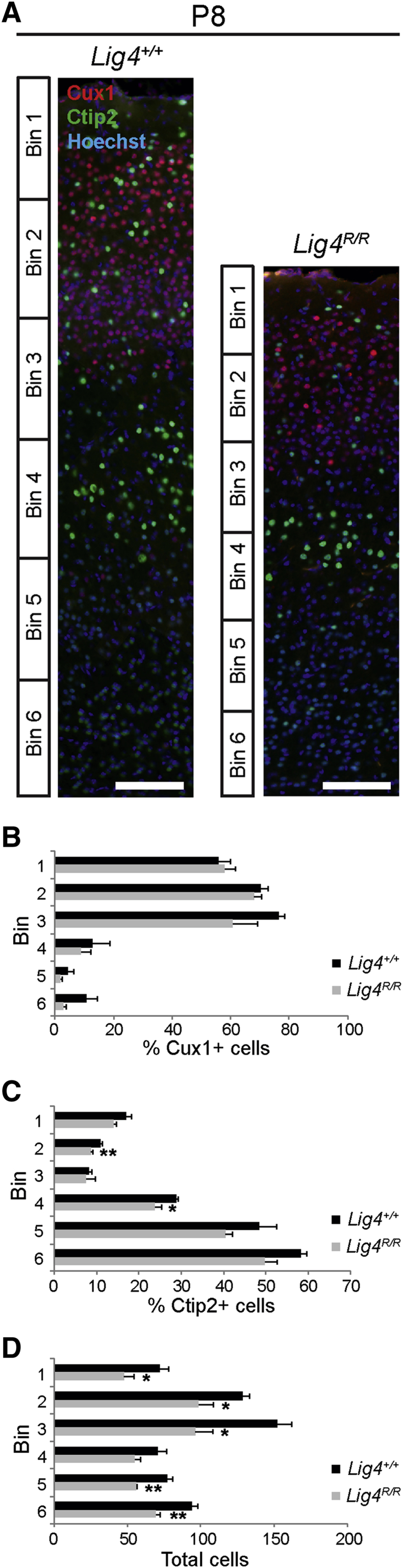 Figure 5