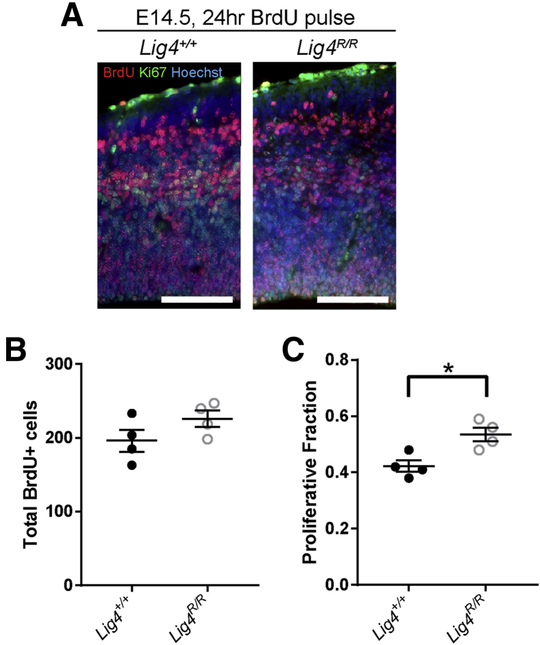 Figure 4