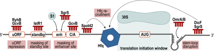 FIGURE 1