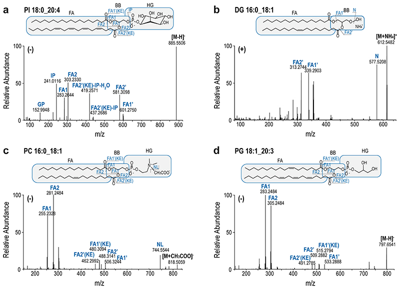 Extended Data Fig. 4