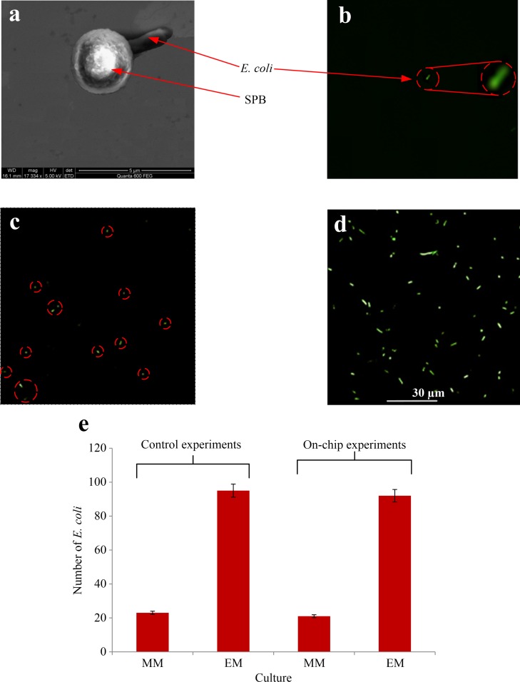 FIG. 7.