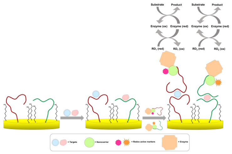 Scheme 4