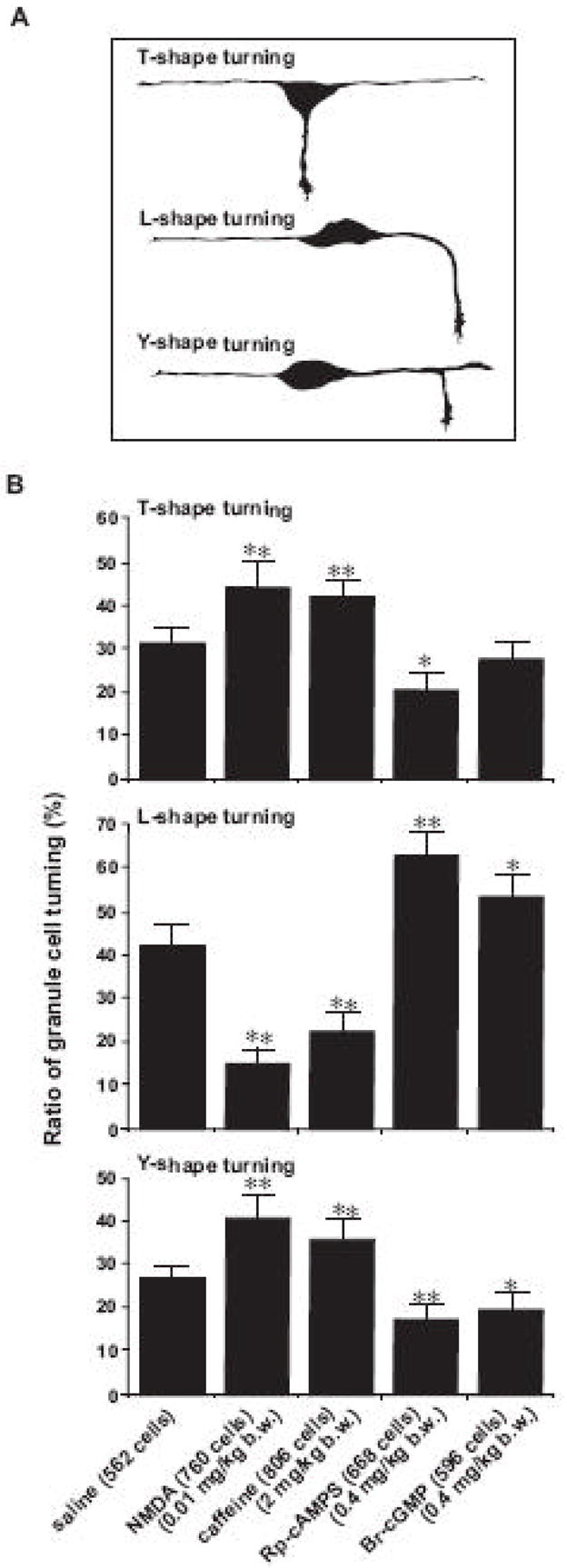 Fig. 9