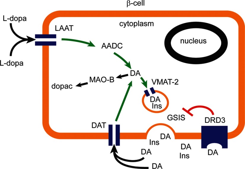 Figure 1.