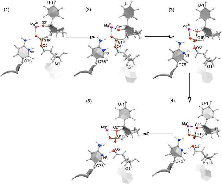 Figure 5