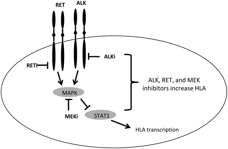 Figure 7: