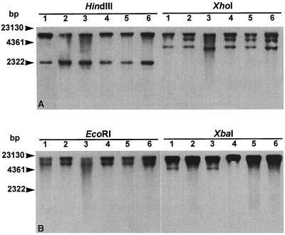 FIG. 3