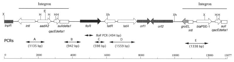 FIG. 1