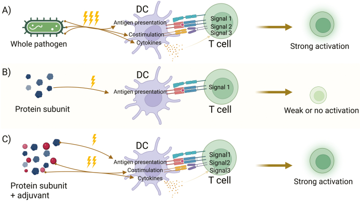 Figure 1: