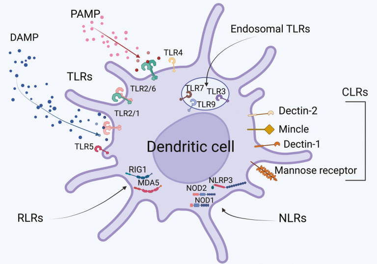 Figure 2: