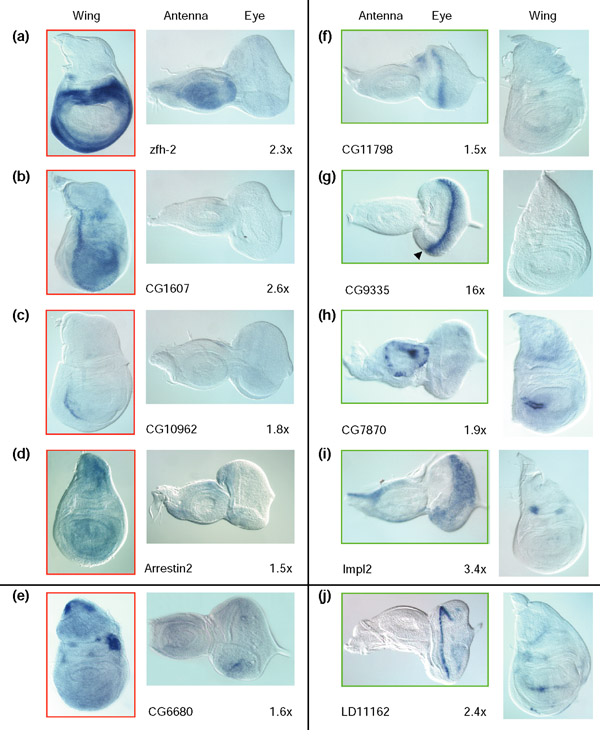 Figure 6