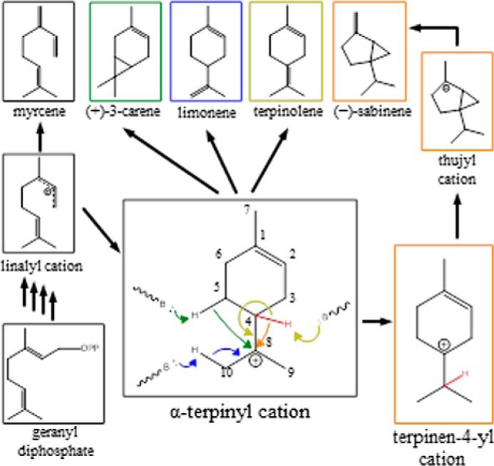 FIGURE 2.