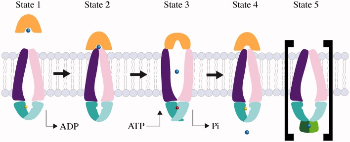 Figure 2.