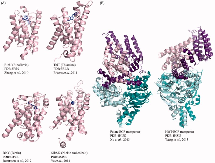 Figure 6.