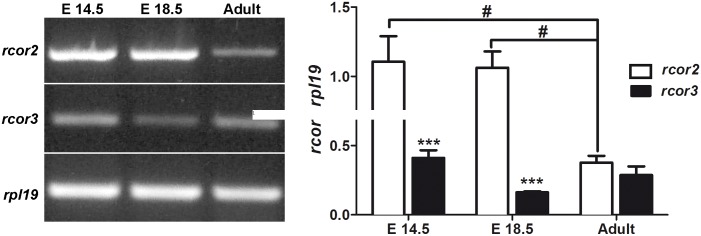 Fig 5