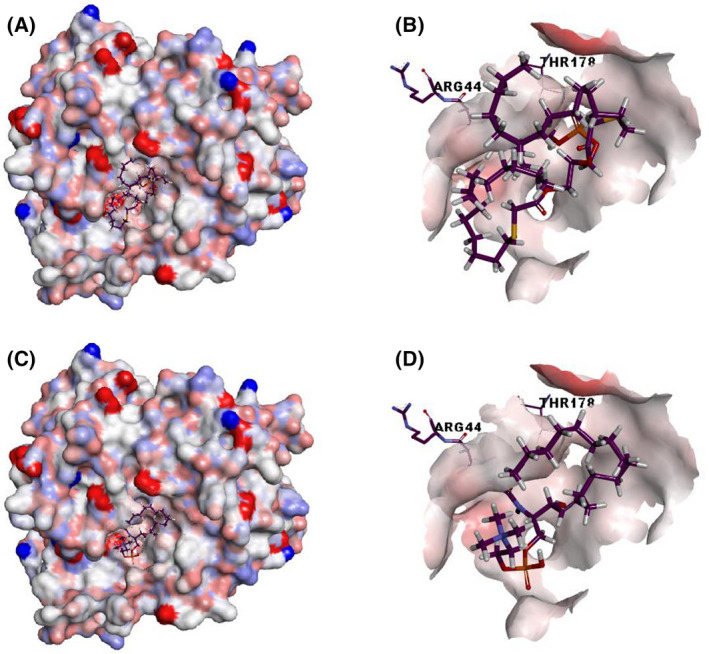 Fig. 4