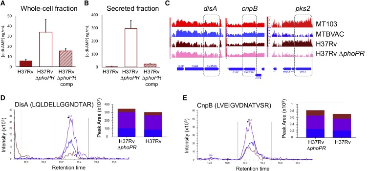 Figure 2