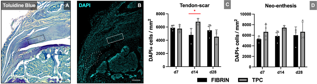 Figure 2: