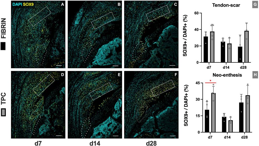 Figure 3: