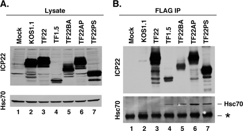 FIG. 7.