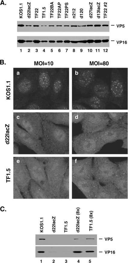 FIG. 5.