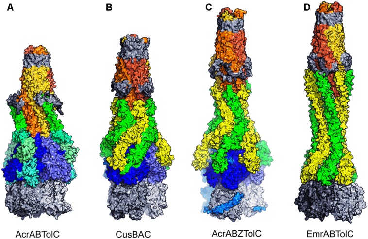 FIGURE 6