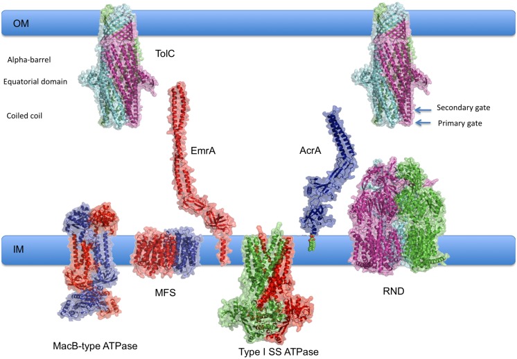 FIGURE 1