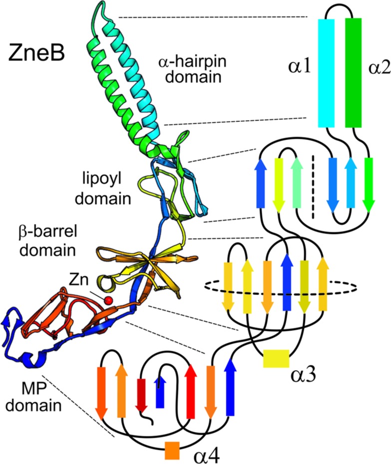 FIGURE 2