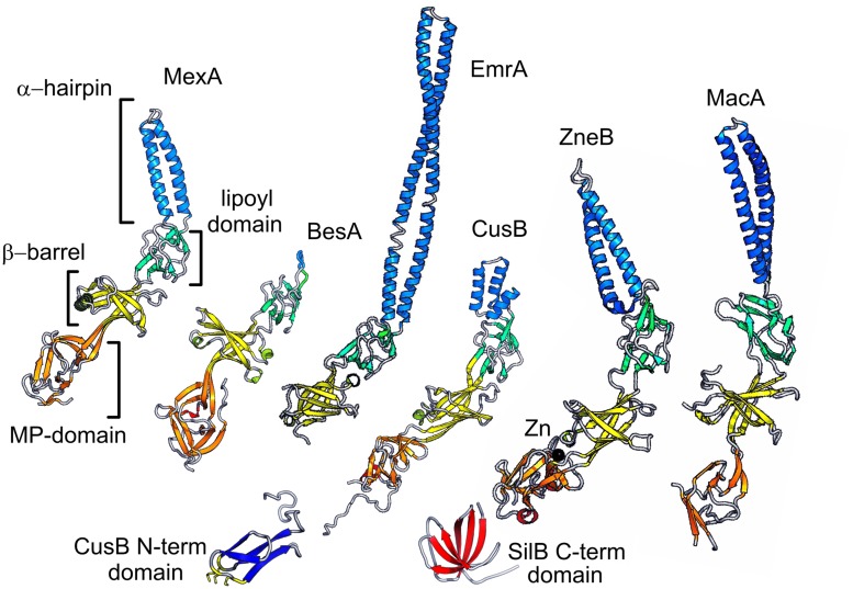 FIGURE 3