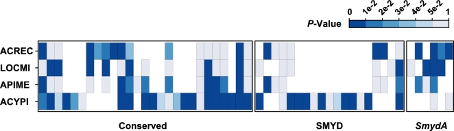 Figure 5: