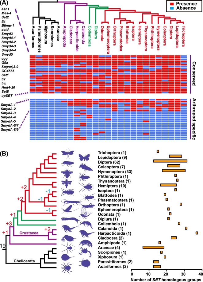 Figure 2: