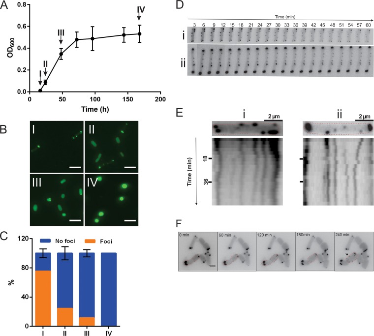 FIG 3