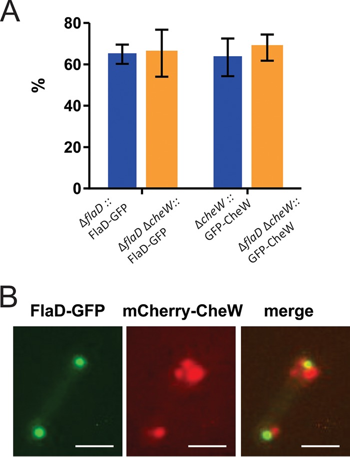 FIG 7