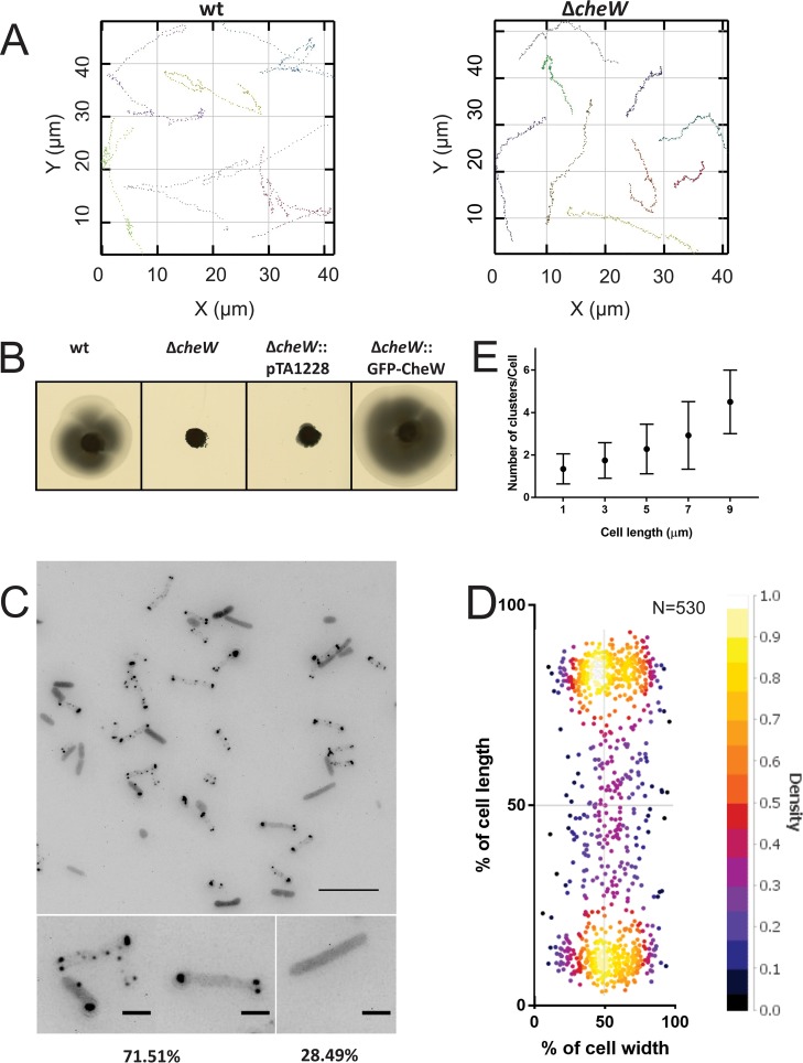 FIG 2