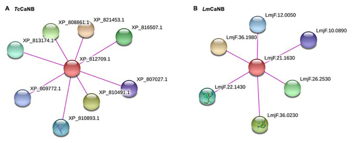 Figure 9