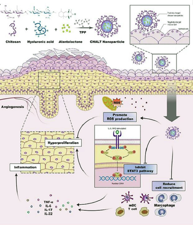 Image, graphical abstract