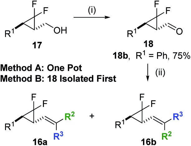 Scheme 5