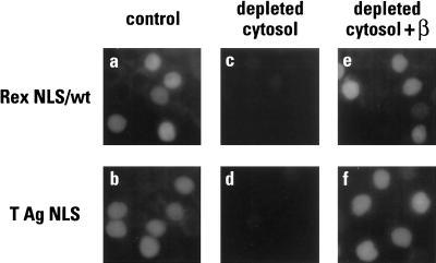 FIG. 7