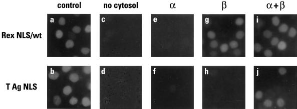 FIG. 6