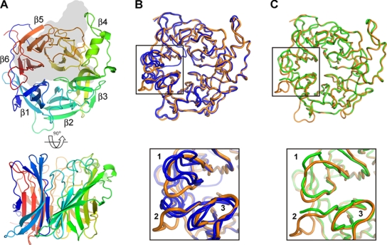 FIG. 2.